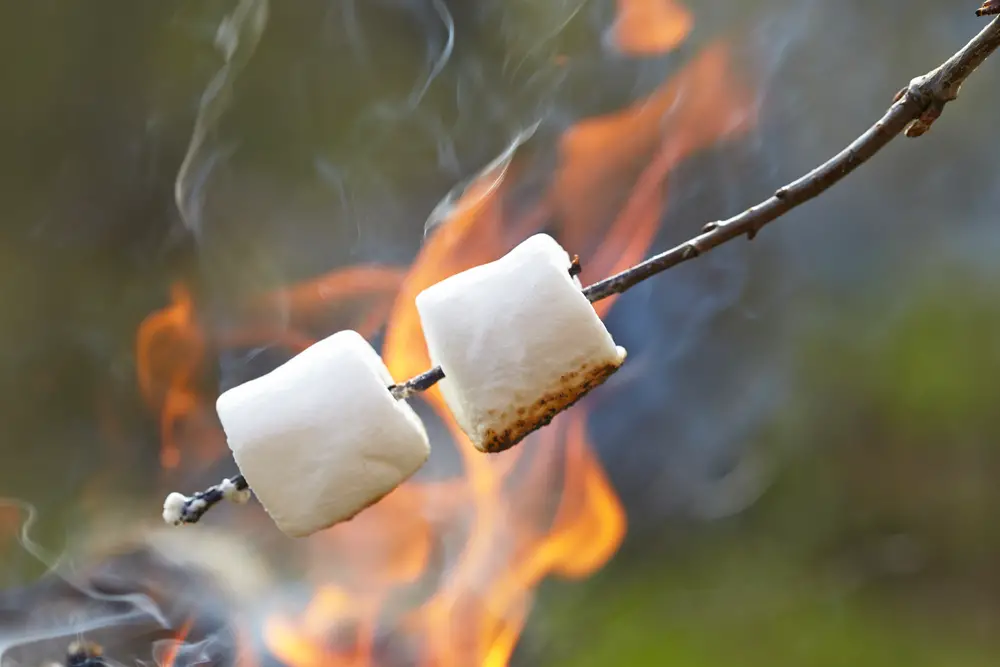 How to melt marshmallows without a campfire